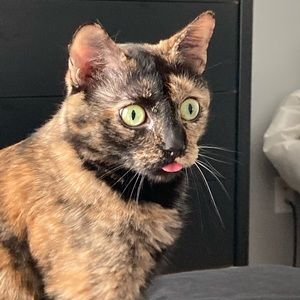 Meet your Posher, JC